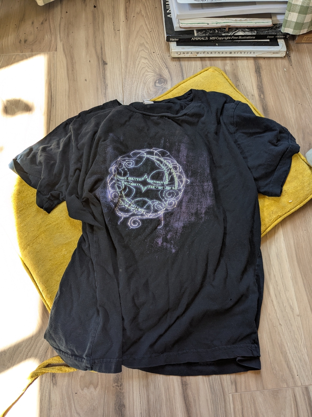 Vintage Y2K Band Shirt - Evenesence 💫